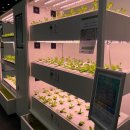 케이팜 | 수원메쎄 2025 케이팜(K-FARM) &amp; 코리아푸드페어 방문 후기 (귀농귀촌 정보 총정리)