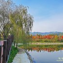 한반도섬 이미지