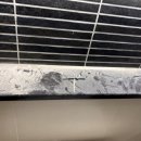 산호대로-80 이미지