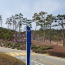 동양당한의원 | [산청 한방테마파크] 산청 동의보감촌 방문 후기 (feat. 산청 동양당한약방)