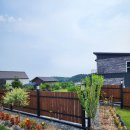 꽃피는 유포리 이미지