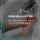 도그바이러스 이미지