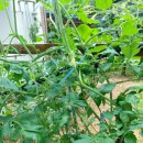 선우정경로당 이미지