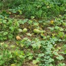 광제산영농조합법인 이미지