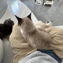 카페우주(woozoo) 이미지