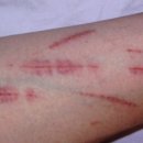 이유정신건강의학과의원 이미지