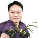 난산회관 이미지