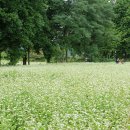 물돌이농장 이미지