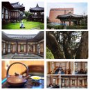 금선에너지 이미지