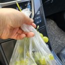 가덕환경자원 이미지