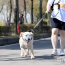 도래동물병원 이미지