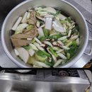 사지목나무그늘