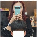 자연애견미용실 이미지