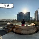 부산 워터파크 클럽디오아시스 부산 찜질방 추천 해운대 데이트