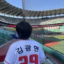 요일 정책브리핑