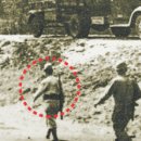 일기상사 이미지