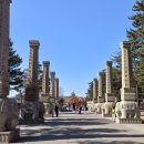 [미수(美壽)중국 역사 대장정 #6-2-1][산시성]운강석굴(雲岡石窟)-1