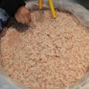 터미널토굴새우젓 이미지