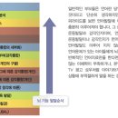 뇌 기능발달 순서 이미지