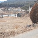 중리소류지 네이버블로그