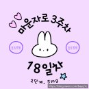 11305-18-2-5 | [마운자로 2단계 5mg, 18일차 후기] 마운자로를 이긴 빵?