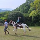 부산국제승마장 이미지