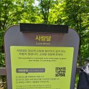 정읍사공원 유아숲체험원 이미지