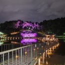 행정사 차종석 이미지