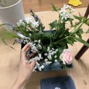 전꽃집사장의 국민내일배움카드로 꽃학원 다녀보기 2탄
