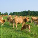 함양동물병원 이미지