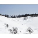 춘삼월목장 이미지