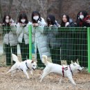 송강동물병원 이미지