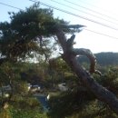 성내4리 이미지