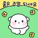 캠핑스토리 네이버블로그