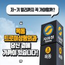 트로이성형외과의원 네이버블로그