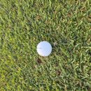 클럽하우스(금강CC점) | 여주 금강 cc kcc 코스 순서 3인 플레이 서코스 동...라운딩 후기 페어웨이 그린 속도 클럽하우스...