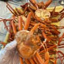 강릉홍게무한리필 | 강릉 주문진 홍게무한리필 재방문 후기! 가족 모두 만족했던 강릉맛집🦀