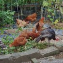 아름요양원 이미지