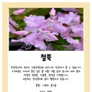 남양영재어린이집