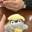 오무스B 네이버블로그