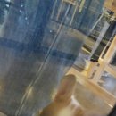 펫타임대구수성레이크점 이미지