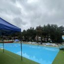 백합펜션 | [충남 태안 여행] 백합 펜션 &lt;파인포레스트 카라반&gt; 주말 1박 후기