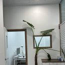 봉암동136 이미지