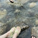 라이브 힐링 펜션 이미지