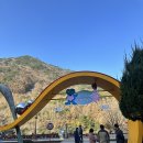 구절리역 | 정선 레일바이크 후기｜직접 타보니 이래서 인기 코스였어요