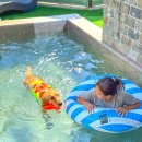 반스힐리조트 이미지