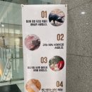 가월돈까스 창원중앙역점 이미지