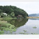 쟁골저수지 이미지