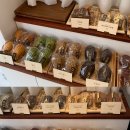 (단기) 카페 메뉴 디저트 이미지