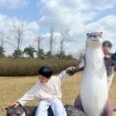 풍산읍 생태공원 | 안동 놀거리 낙동강 생태학습관과 마애선사유적 전시관 역사 공부하기 좋은 곳